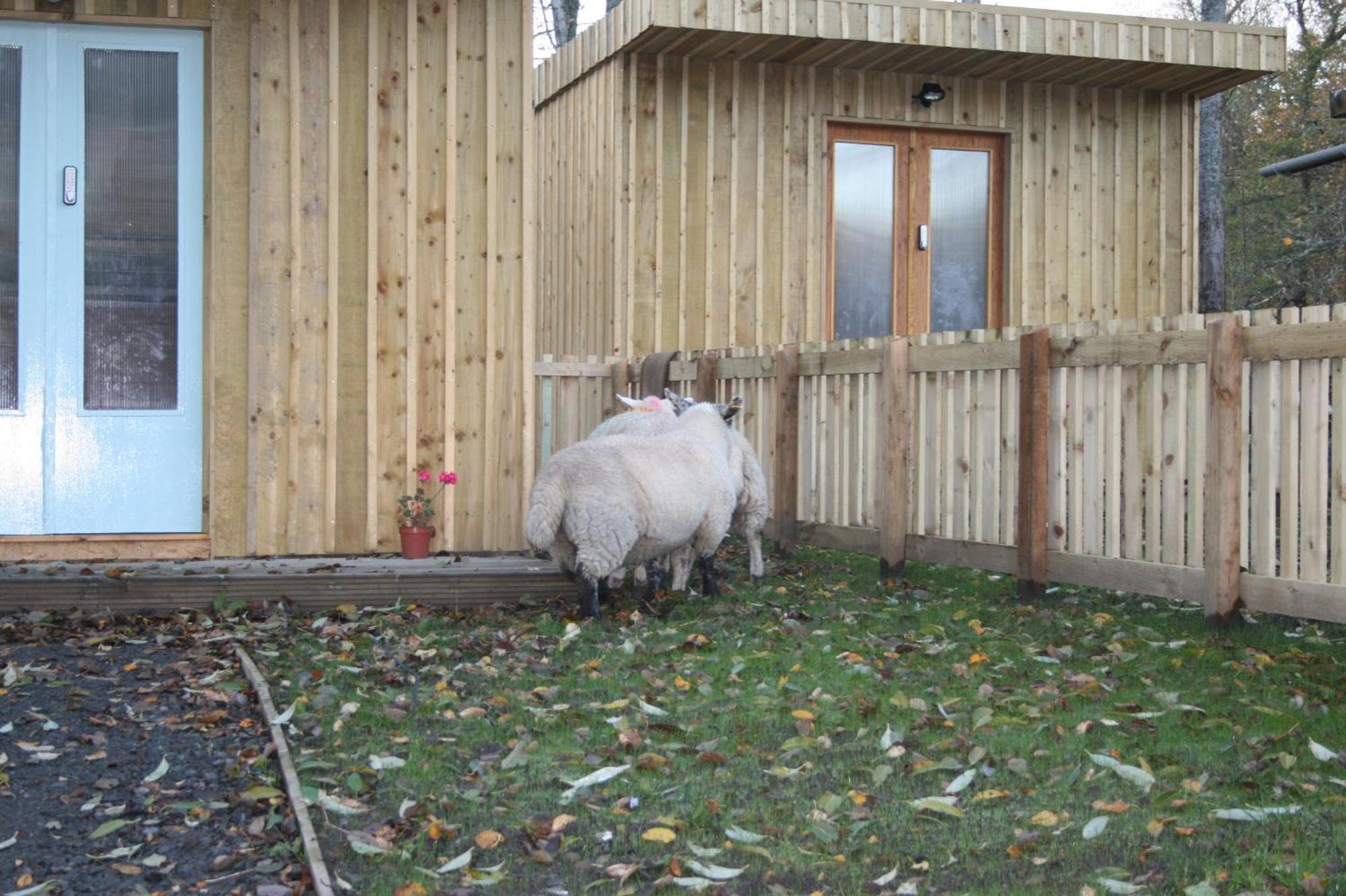 Bcc Lochness Hostel Pods Bearnock Экстерьер фото