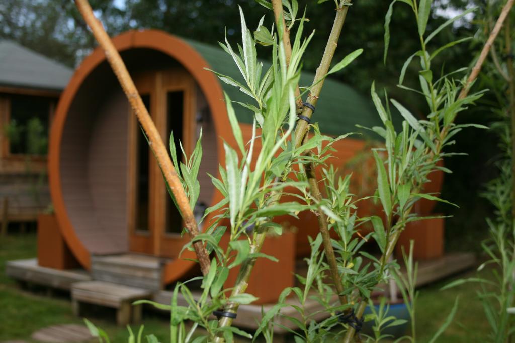 Bcc Lochness Hostel Pods Bearnock Экстерьер фото