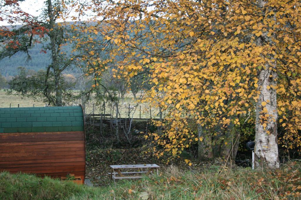 Bcc Lochness Hostel Pods Bearnock Номер фото