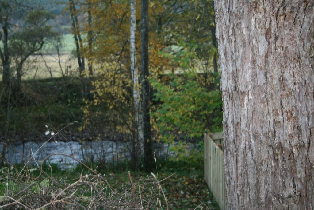 Bcc Lochness Hostel Pods Bearnock Номер фото