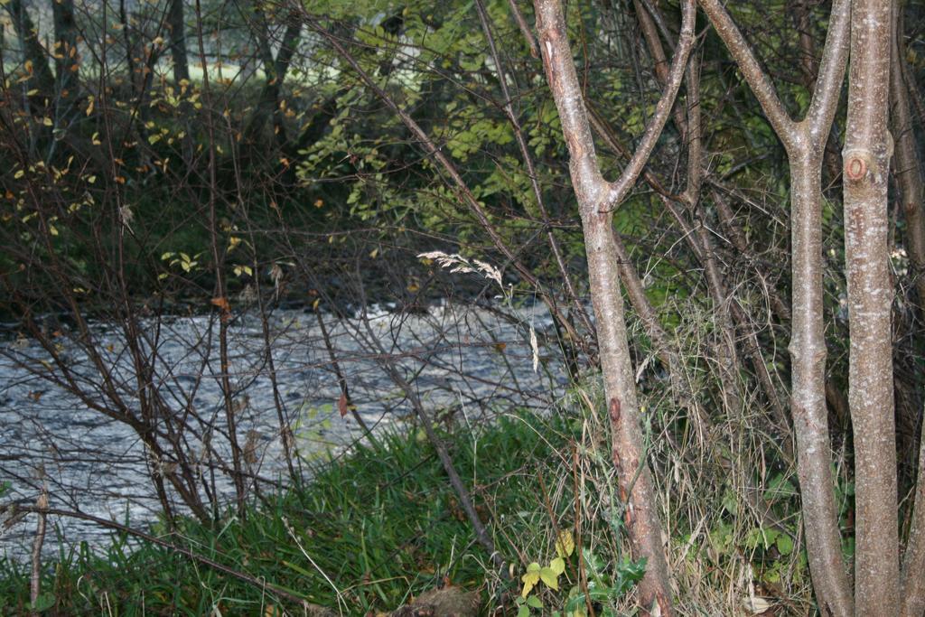 Bcc Lochness Hostel Pods Bearnock Номер фото
