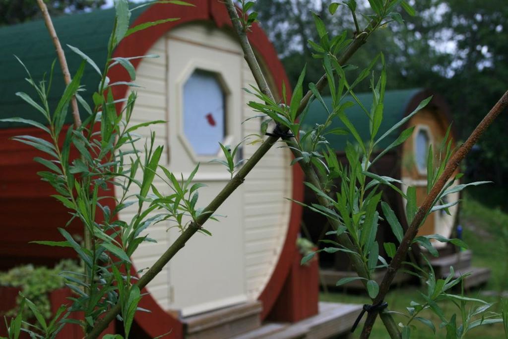 Bcc Lochness Hostel Pods Bearnock Номер фото