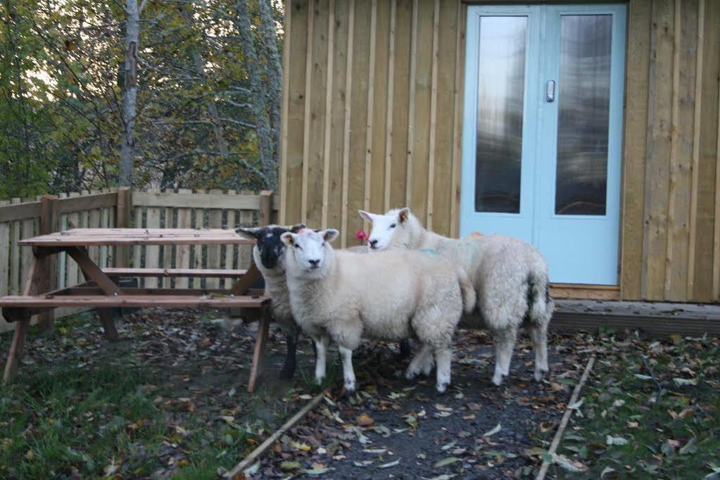 Bcc Lochness Hostel Pods Bearnock Экстерьер фото